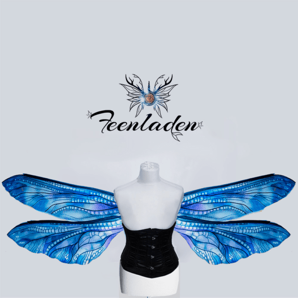 Libelle Selene – Bild 12