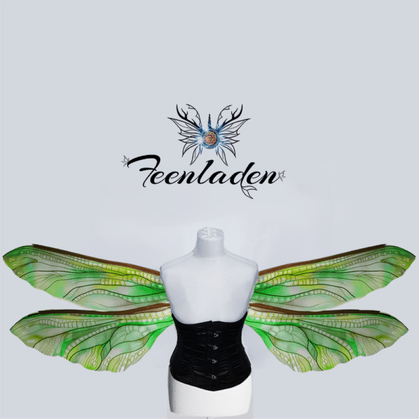 Libelle Selene – Bild 4