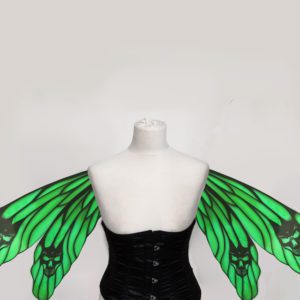 Libelle Toxic Green