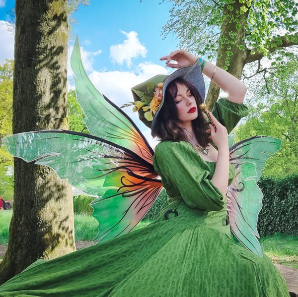 Fairy Witch