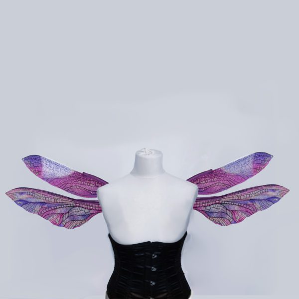 Libelle Selene – Bild 8