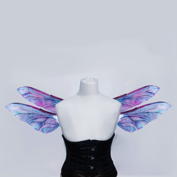 Libelle Selene – Bild 9
