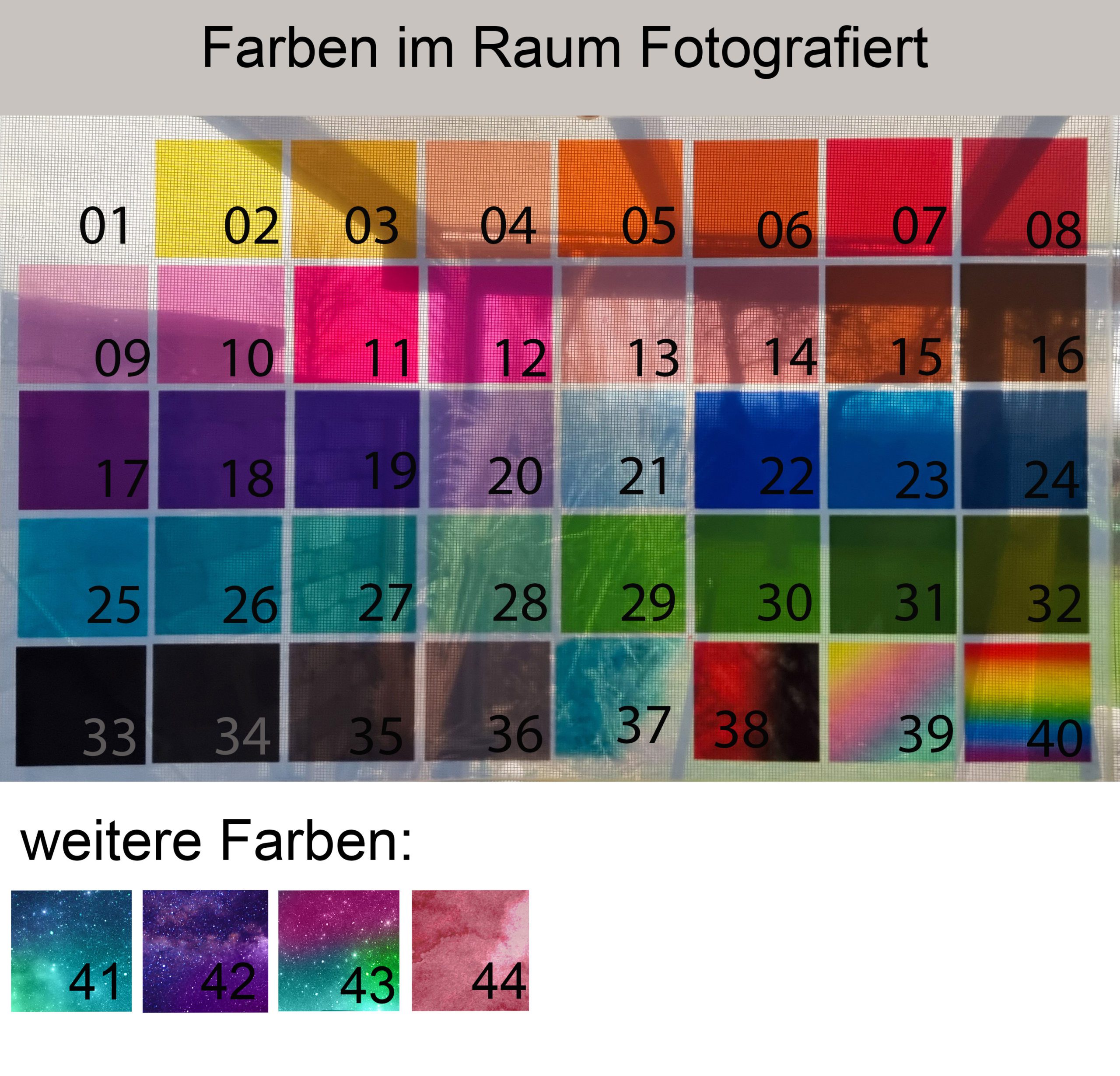 Cicaden Flügel – Bild 8